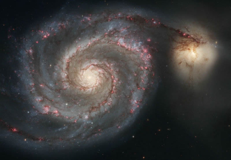 spirala11_mglawica_spiralna.jpg