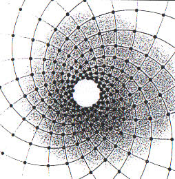 spirala20_fibonacciego.jpg
