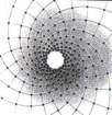 spirala20_fibonacciego_small.jpg
