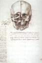 leonardo_studia_anatomiczne_przekrój czaszki_ok1489.JPG